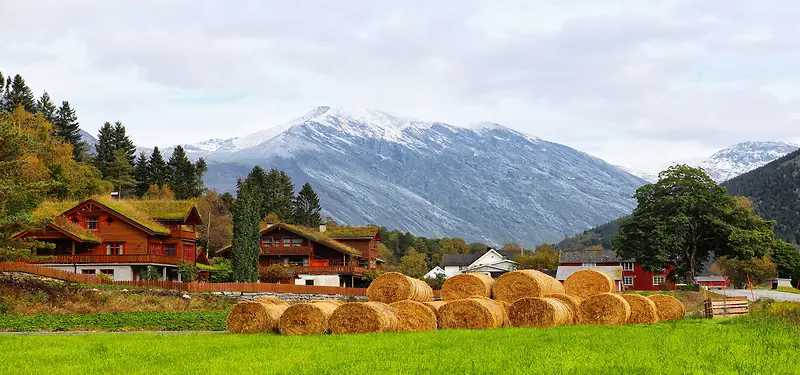 田园风景