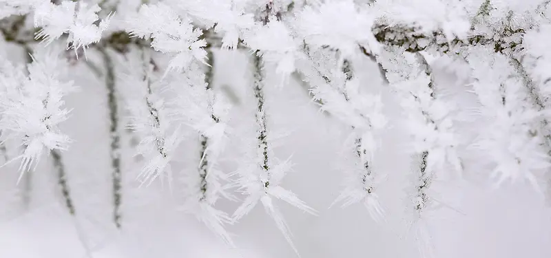 冰雪背景