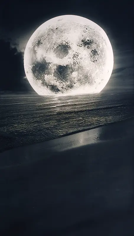 夜晚月光风景背景