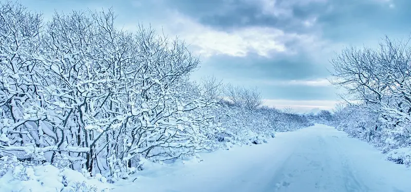 雪地