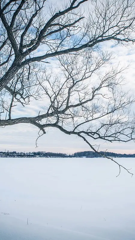 冰雪世界白色户外场景摄影H5背景