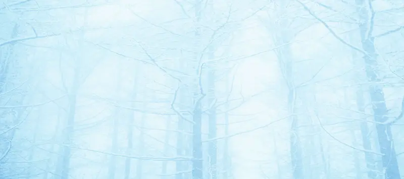 冬季树林雪花背景