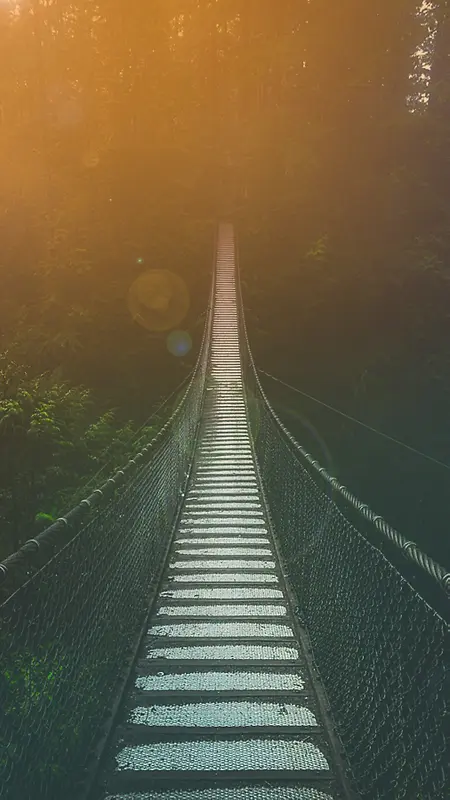 梦幻森林户外活动背景