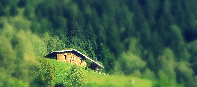绿色森林小木屋背景
