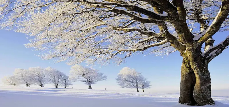 冬季雪景图