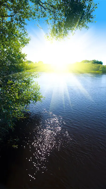 耀眼阳光与树木湖景H5素材背景