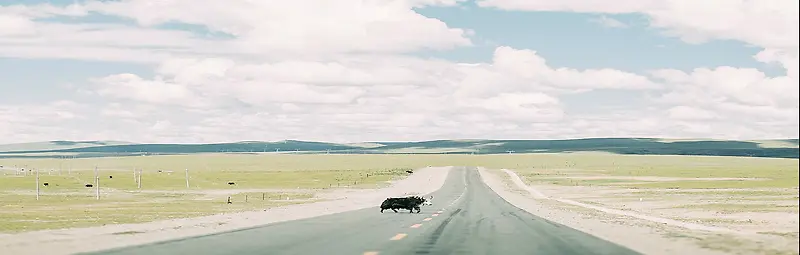 蓝天白云草地背景