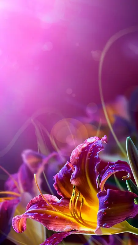 风景紫色花朵漂亮H5背景素材
