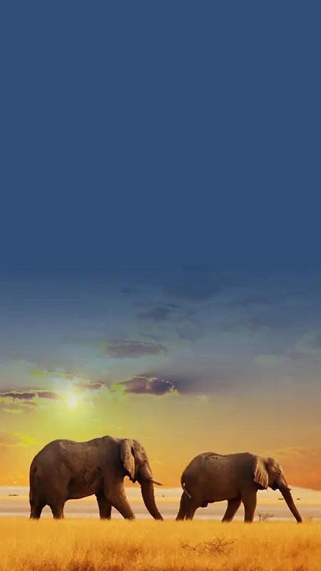 大象天空风景H5背景