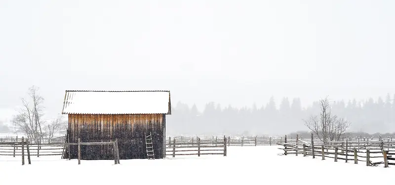 雪中的树森与木屋