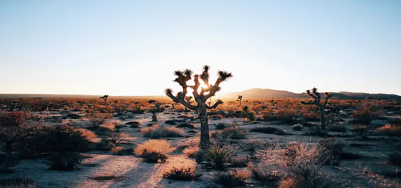 沙漠中的日落风景