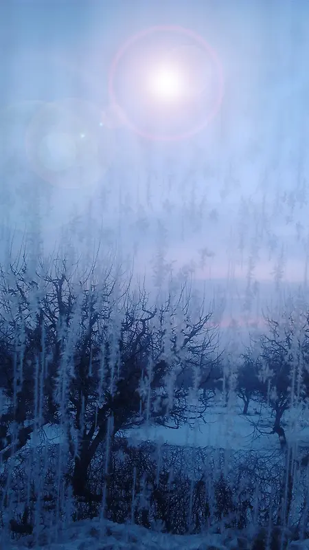 寒冬冬天你好蓝色树木背景