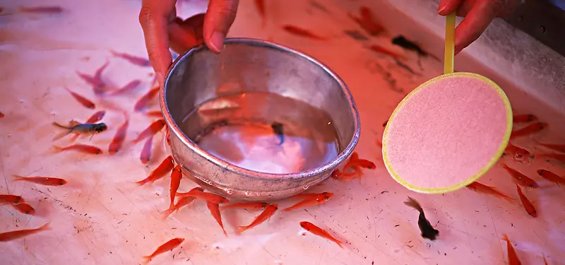 日系清新文艺传统文化捞小鱼背景