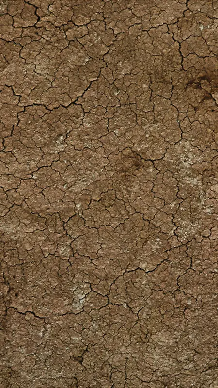 自然泥土土壤H5背景图