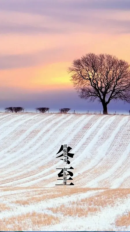 冬至雪地黄昏风景H5背景素材