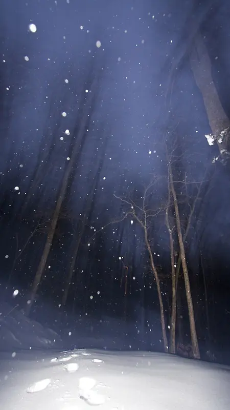 夜空雪景