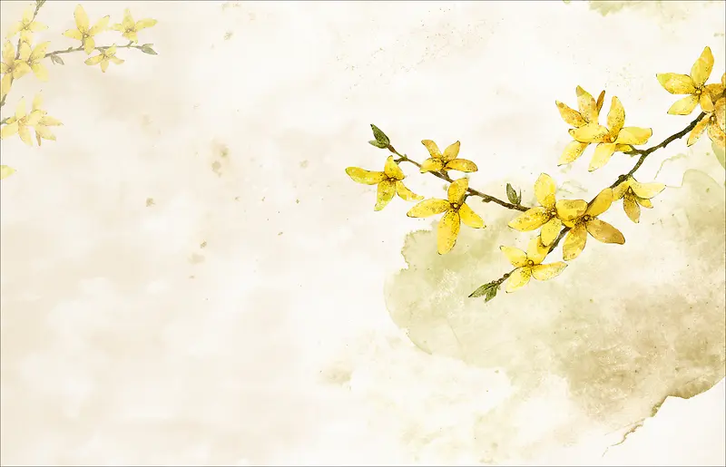 中国风迎春花海报背景