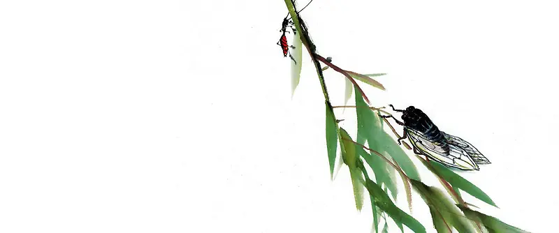 中国画 知了 树叶 绿叶 瓢虫 昆虫
