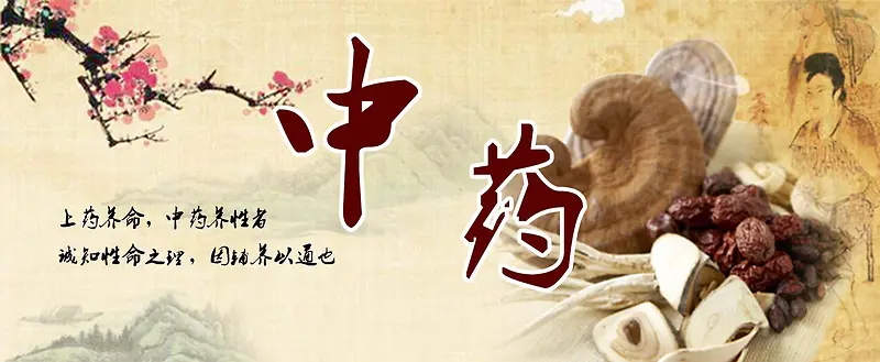 中药文化banner