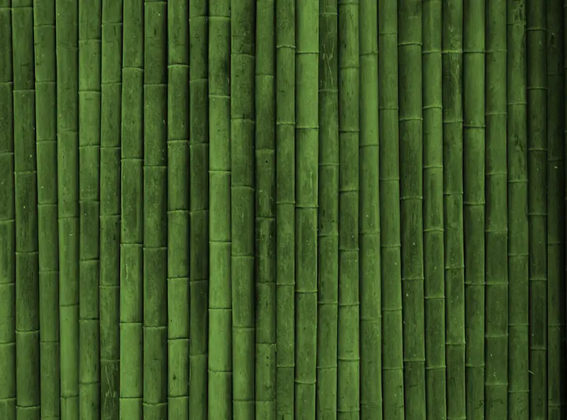 绿色竹纹背景图