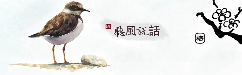 中国画刻画鸟涂抹背景