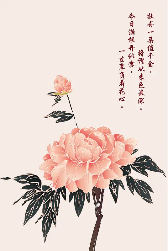 中国风粉色牡丹海报背景素材
