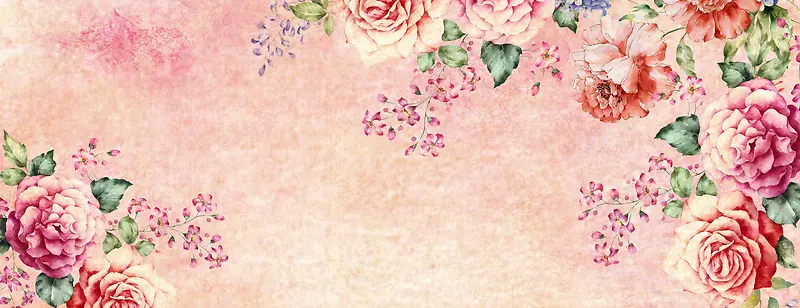 手绘水彩花卉牡丹背景