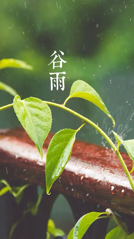 谷雨节气H5素材背景