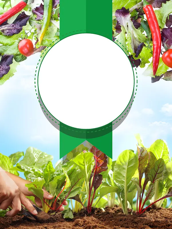 有机蔬菜新鲜配送广告海报背景素材