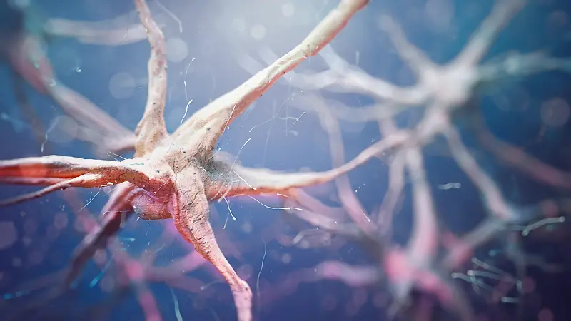 医疗神经元神经组织背景素材