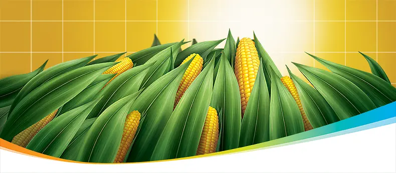 玉米油广告背景