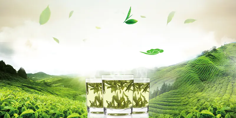 茶山茶叶文化茶叶广告宣传海报背景素材