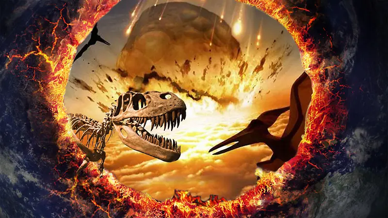 恐龙博物馆宣传海报