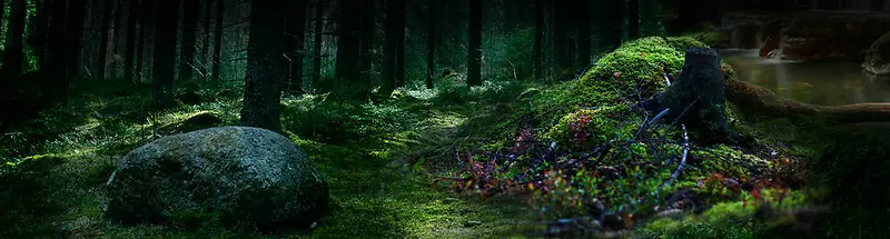 森林浪漫梦幻绿色淘宝海报背景