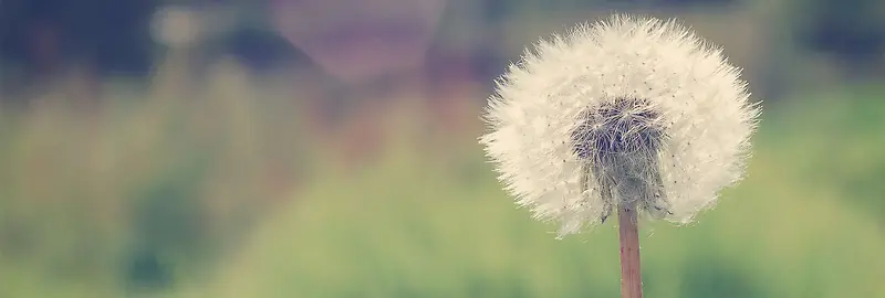 门户网站banner创意设计