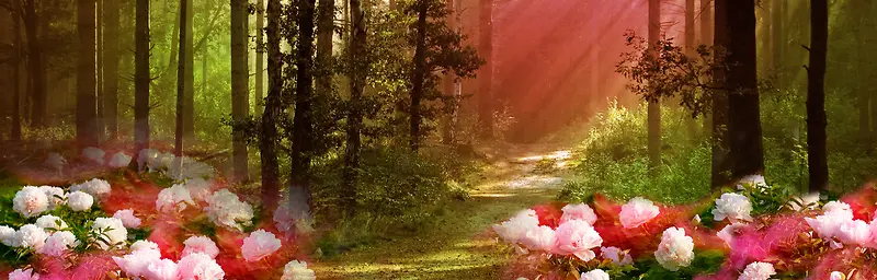 淘宝家纺床上用品背景banner