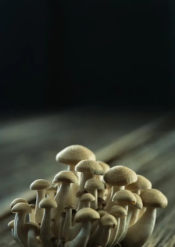 时鲜蔬果蘑菇背景素材