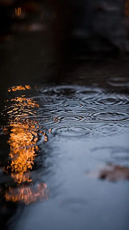 雨滴H5背景素材