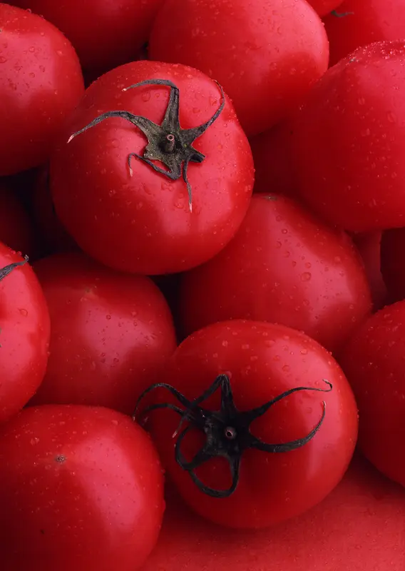时鲜蔬果西红柿背景素材