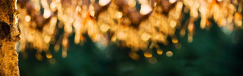 秋天淘宝女包唯美背景banner