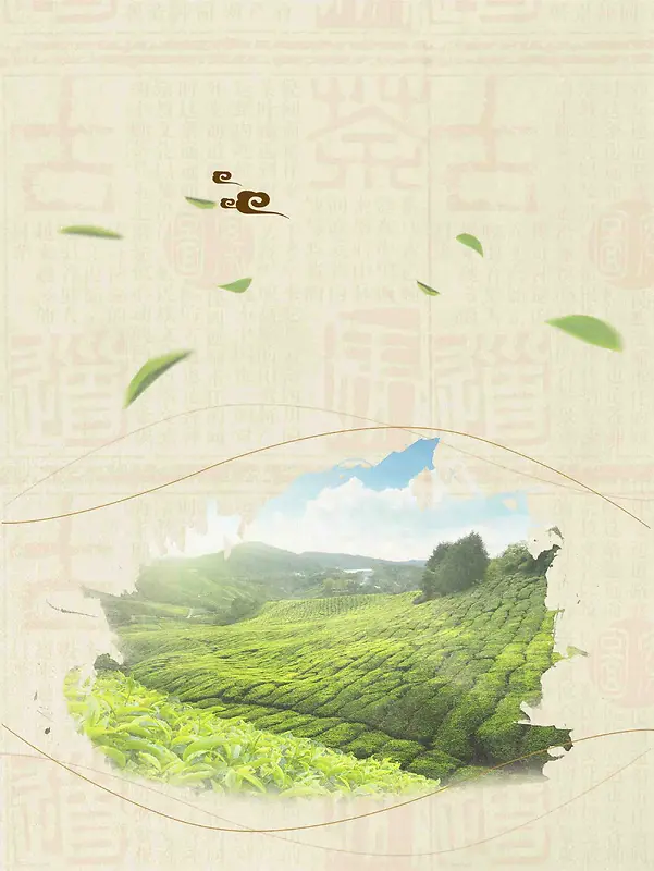 简约云南普洱茶宣传海报设计背景模板