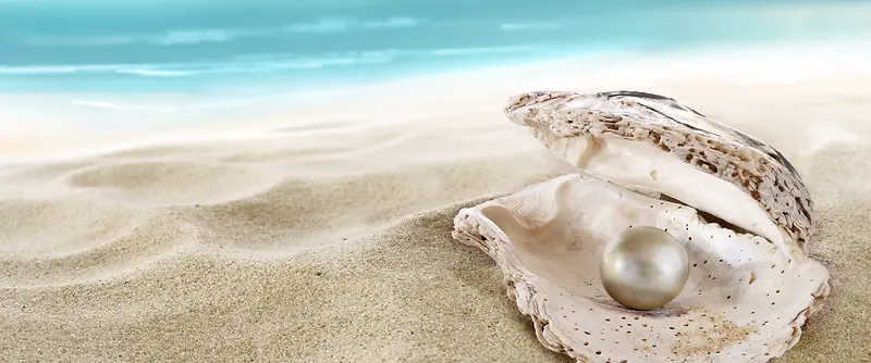 沙滩珍珠