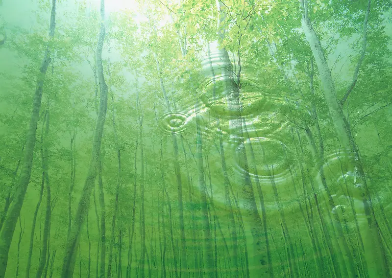 保护水资源森林可再生背景