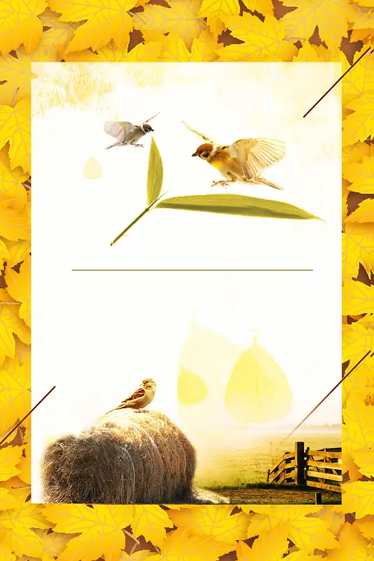黄色秋叶立秋秋分节气海报背景素材