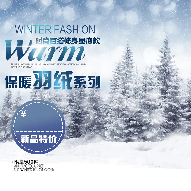 冬季女装羽绒服海报背景模板