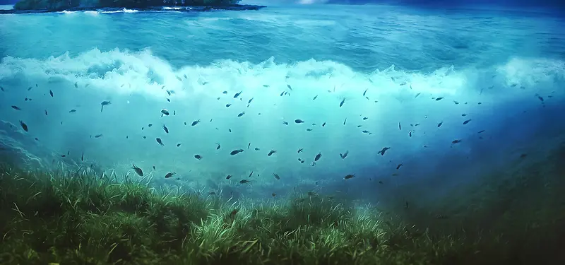 海底世界背景banner装饰