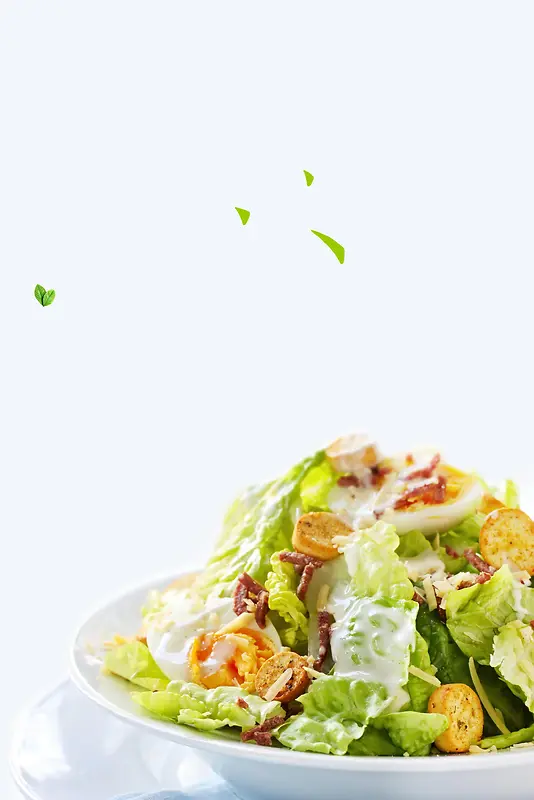 绿色有机健康素食美食
