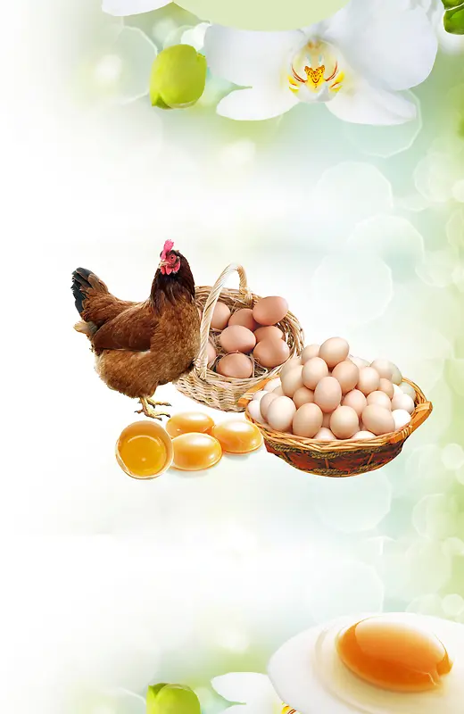 土鸡蛋促销特卖海报背景素材