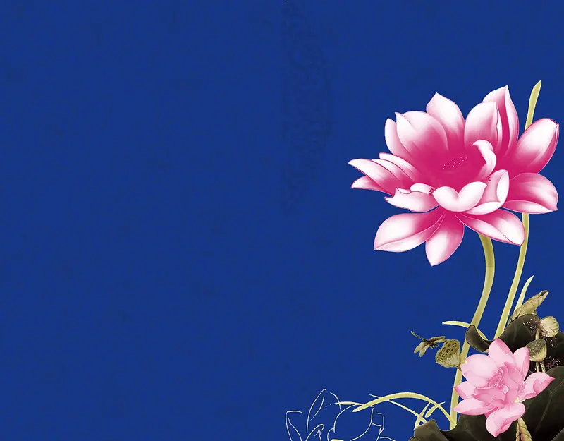 中国风停在莲花上的蜻蜓蓝色背景素材