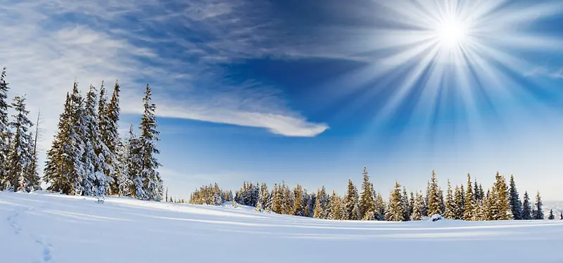 雪地上的树林光线